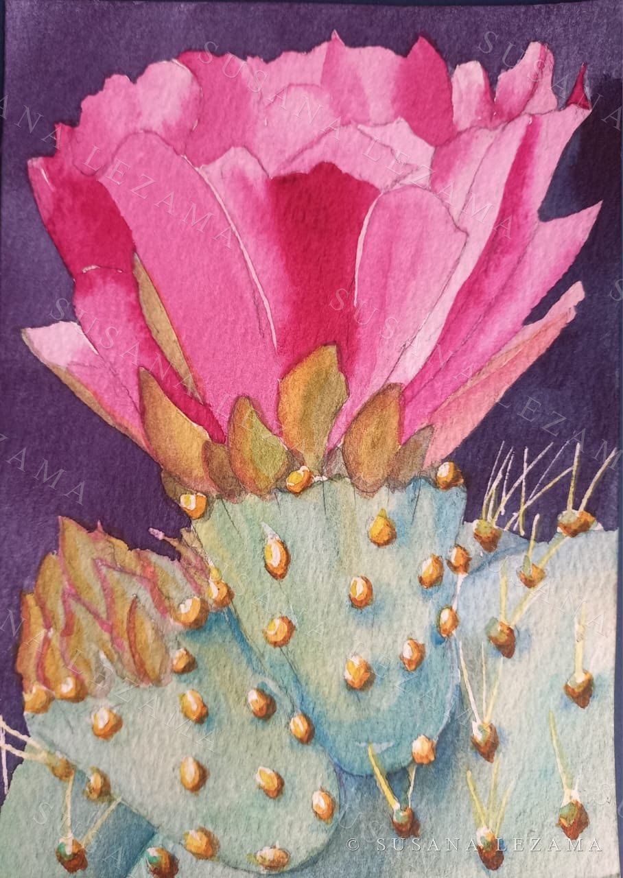 Flor de nopal — Susana Lezama