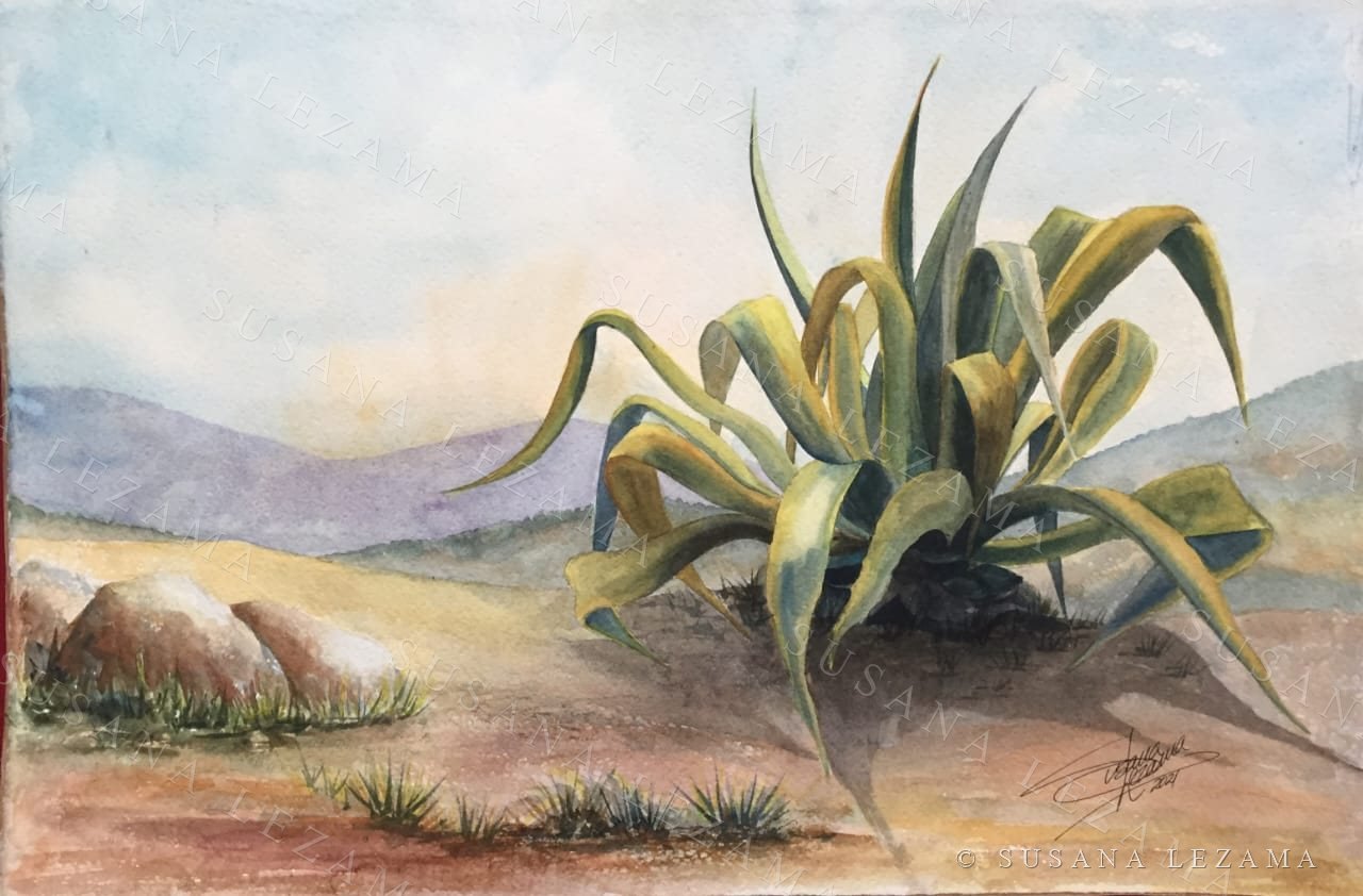Maguey — Susana Lezama