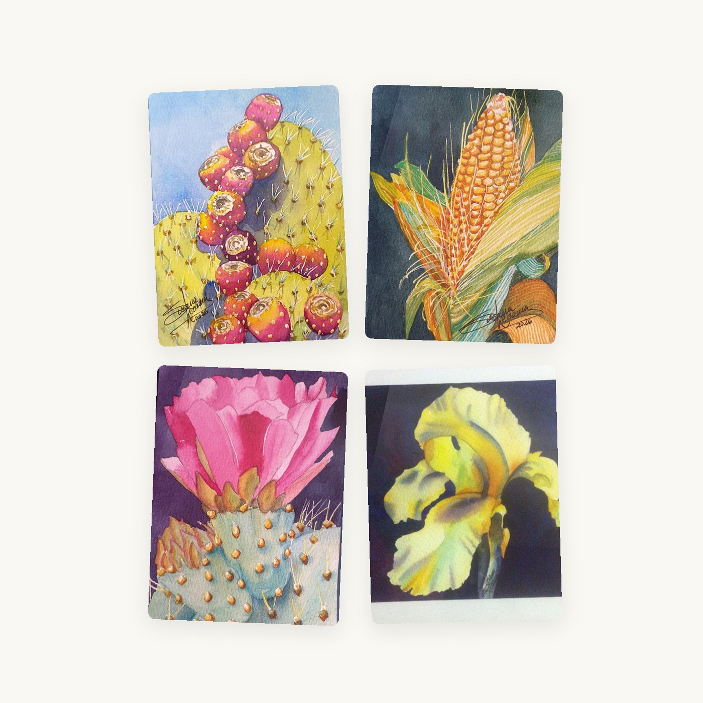 Set of four magnets — Susana Lezama